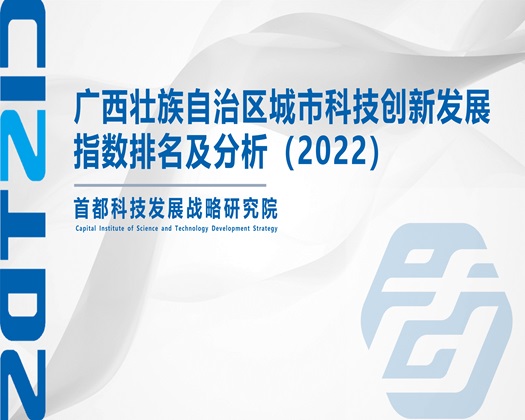 色骚逼【成果发布】广西壮族自治区城市科技创新发展指数排名及分析（2022）